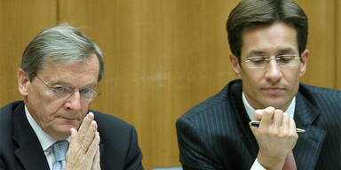 Schüssel: Warum er gehen muss