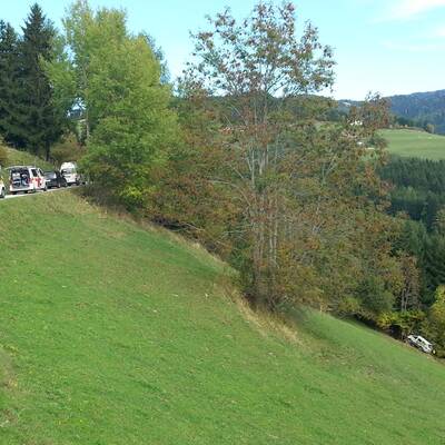 Fünf Kinder und der Lenker wurden teils schwer verletzt