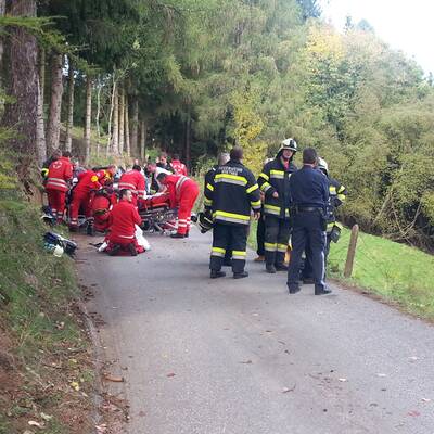 Fünf Kinder und der Lenker wurden teils schwer verletzt