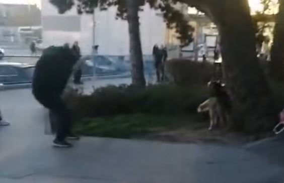 schüsse hansonzentrum