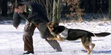 schutzhund