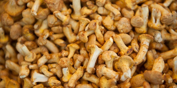 Stark-Regen ohne Ende über Österreich