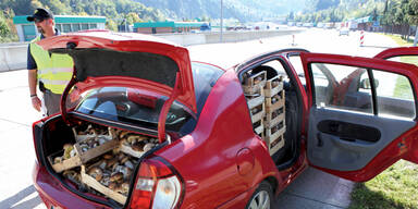 Pilz-Mafia stiehlt 135 Kilo