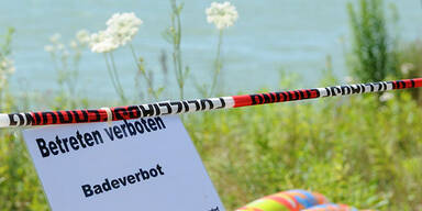 Krokodil-Alarm in Badesee 