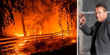 Arnold Schwarzenegger