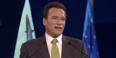 schwarzenegger.png