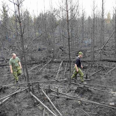 Größter Waldbrand aller Zeiten