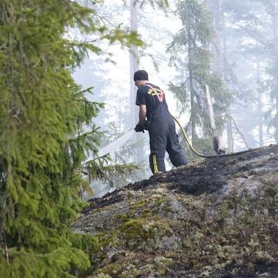 Größter Waldbrand aller Zeiten