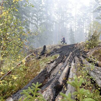 Größter Waldbrand aller Zeiten