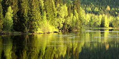 Sex am Strand - ab in den Knast!