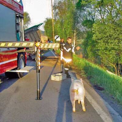 Steirische Feuerwehr auf Schweinejagd