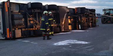 Viehtransporter kippt um - 40 Schweine tot