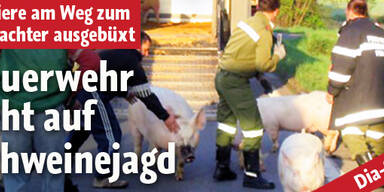 Steirische Feuerwehr auf 