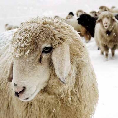 Wintereinbruch in Europa