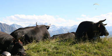Die beliebtesten Ziele der Österreicher