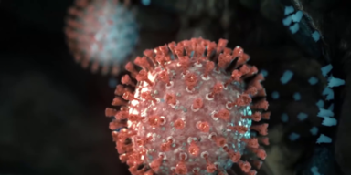 Virus Grafik