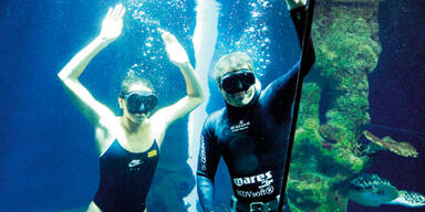 Schwimmstar Nadarajah taucht mit Haien