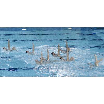 Albert & Charlene: 1. Auftritt nach Verlobung