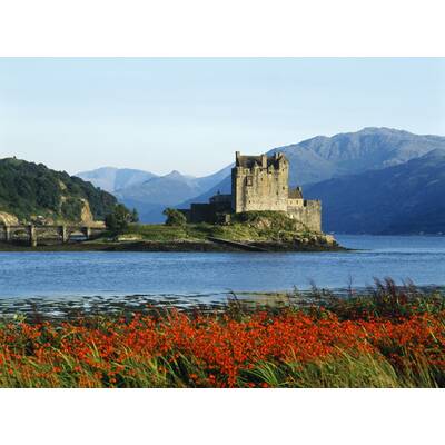 Gewinnen Sie mit A1 und ÖSTERREICH