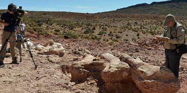 Das ist der gr&ouml;&szlig;te Dinosaurier der Welt