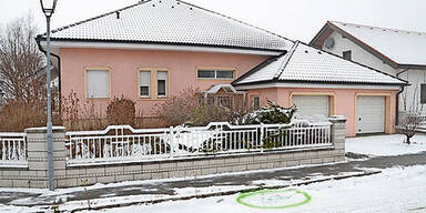 Eckartsau Cobra-Einsatz