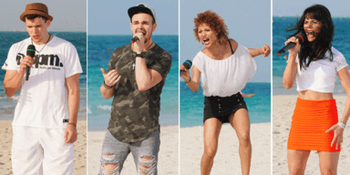 DSDS -  Die Österreicher