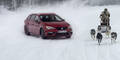 Seat Leon Cupra tritt gegen Huskys an