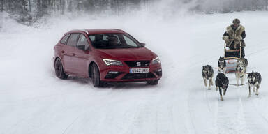 Seat Leon Cupra tritt gegen Huskys an