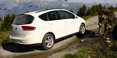 Altea und Altea XL als Arbeitspferde