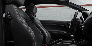 „Neuer“ Ibiza Cupra zum Kampfpreis