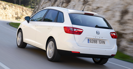 Sparsamer Schluckspecht aus Spanien