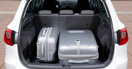 Sparsamer Schluckspecht aus Spanien