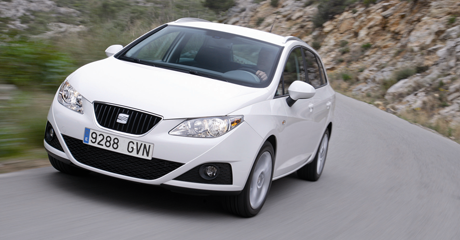 Sparsamer Schluckspecht aus Spanien