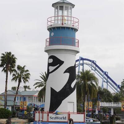 Killer-Orca tötet Dompteurin