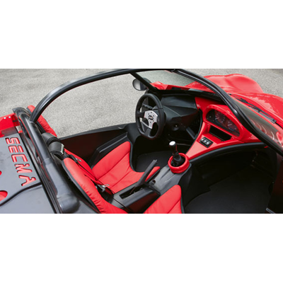 Witziges Straßenbuggy aus Frankreich