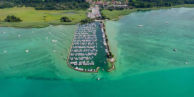 T&ouml;dliche Bakterien in See - Hunde an Vergiftungen verendet