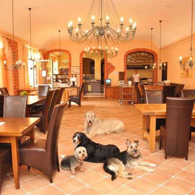 Hotel Riederhof in Ried im Oberinntal / Tirol