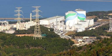 Japan kehrt zur Atomkraft zur&uuml;ck