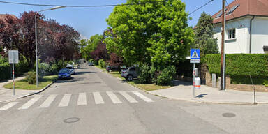 Serbe auf Koks bedroht Autofahrer mit Holzpflock