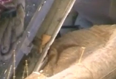 Dicker Mann, Ohio, USA, Sessel