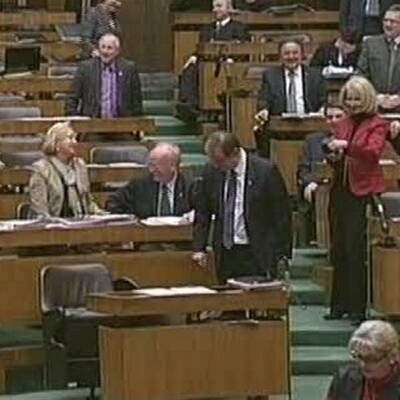 Parlament: Sessel bricht zusammen