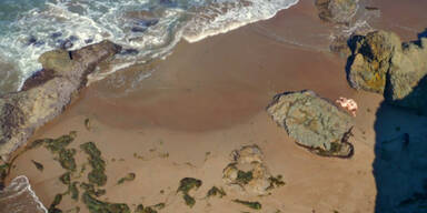 Drohnen filmen Exhibitionisten beim Sex