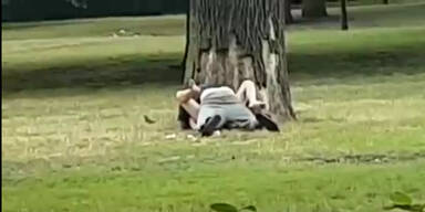 sex_im_park_thump.jpg