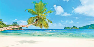 Seychellen zwei Monate ohne F&auml;lle - nun betroffen