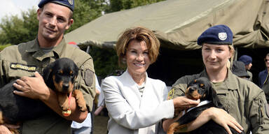 Bierlein Hunde Rottweiler