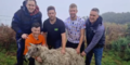 Schaf gerettet