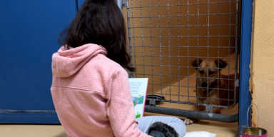 shelter buddy 1.PNG