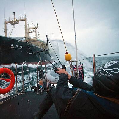 Umweltschützer stoppen Walfänger