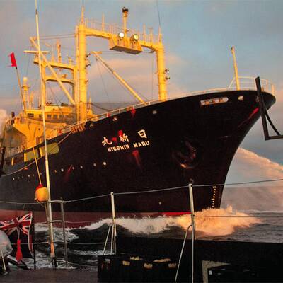 Umweltschützer stoppen Walfänger