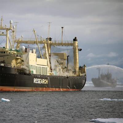 Umweltschützer stoppen Walfänger